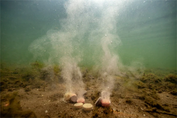 Ultimate Baits Up & Down Tablets 300gr.20mm. Sweet/Fruit 4 Ultimate Baits Up & Down Tablets 300gr.20mm. Sweet/Fruit - Afbeelding 2