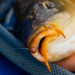 Fjuka Natural 2in1 200gram 9 Fjuka Natural 2in1 200gram -Winkel Voor Visartikelen 173e3a2163a6a35f