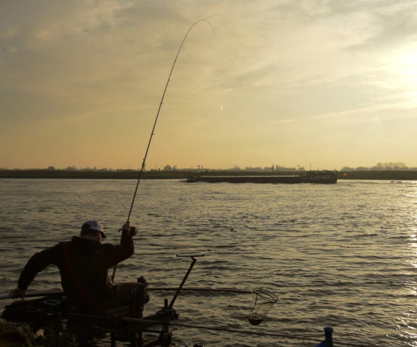 Cresta Identity Pro Tolerance Feeder 360 4 Cresta Identity Pro Tolerance Feeder 360 - Afbeelding 2