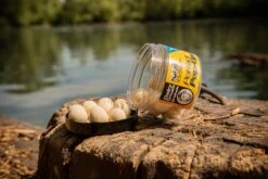 Solar Pop-Ups 14Mm Dairy Cream