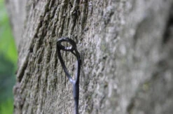 Ashima FFX-P 10ft 3lb -Winkel Voor Visartikelen 6d1300dab89f2583