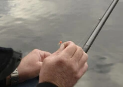 Cresta Spaghetti Balls Blood Red -Winkel Voor Visartikelen 7a9eca116683f06b