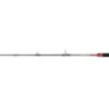 PENN Conflict Trolling 2,13m (20-30lb) -Winkel Voor Visartikelen 922647c36302b812