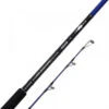 Savage Gear SGS6 Shore Jigging 10'/3,05m MF 60-150gr H 2,5-5,0 2sec -Winkel Voor Visartikelen 9d4c4dbc11cb2720