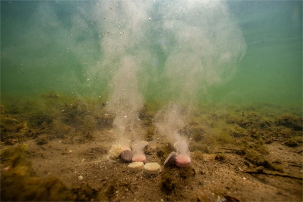 Ultimate Baits Up & Down Tablets 300gr.20mm. Sweet/Fruit 3 Ultimate Baits Up & Down Tablets 300gr.20mm. Sweet/Fruit