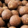 Dynamite Baits CompleX-T 18mm S/L 5kg -Winkel Voor Visartikelen bebb4de22d932b90