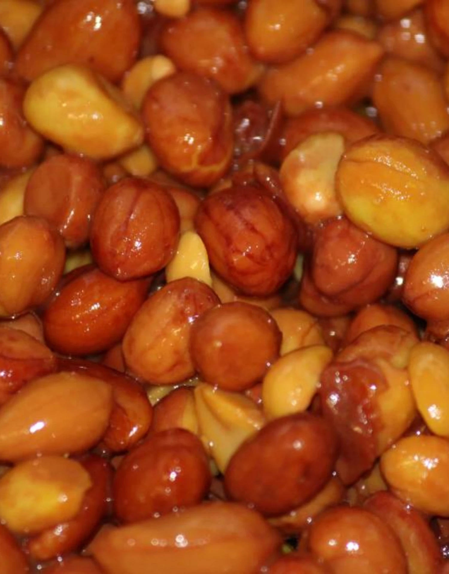 Baitworld Ready To Fish 2L (pot) Redskin Pinda's Kerrie 3 Baitworld Ready To Fish 2L (pot) Redskin Pinda's Kerrie